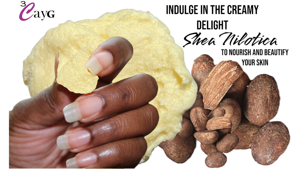 Shiny Hand and nails with shea Nilotica and shea nuts