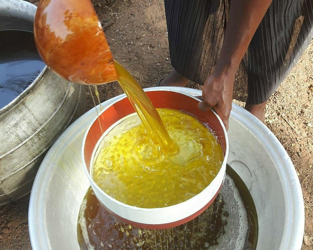 Melted Shea Butter Being Filtered for Unmatched Purity and Quality