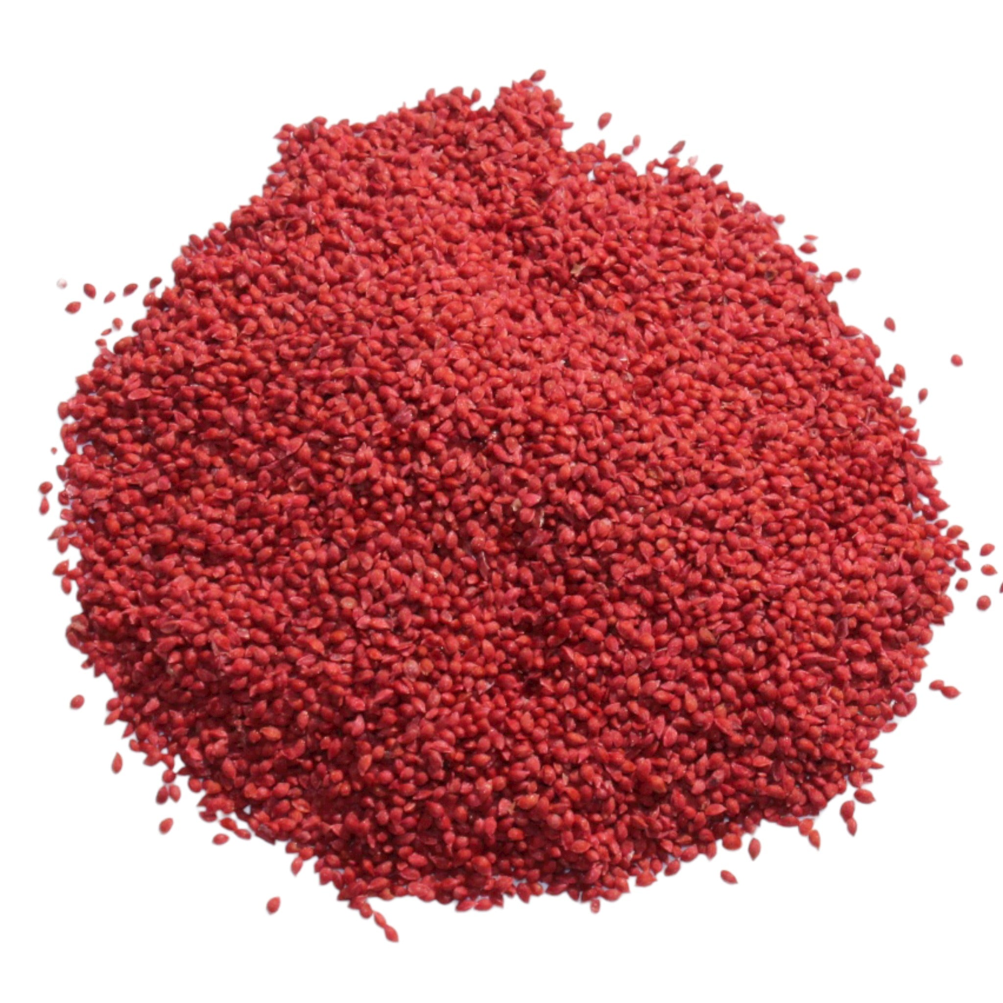 cranberry seeds for planting Cranberry Seeds